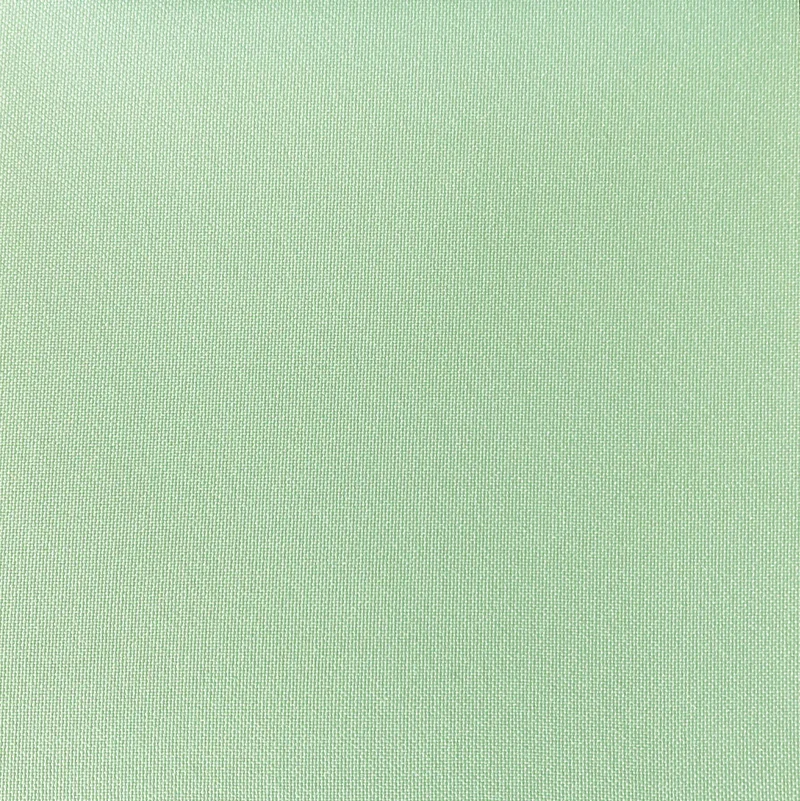 nach Maß Klemmfix Rollo Sichtschutz DREAM MINT mit Pendelsicherung