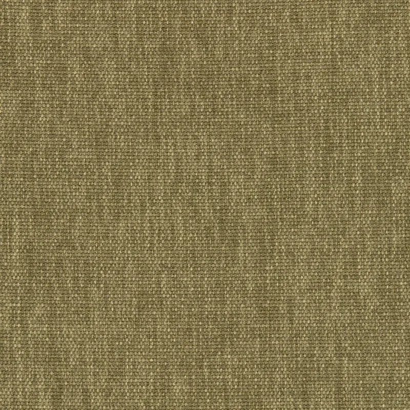 Maharam - Metaphor - 466553.026 Saguaro
