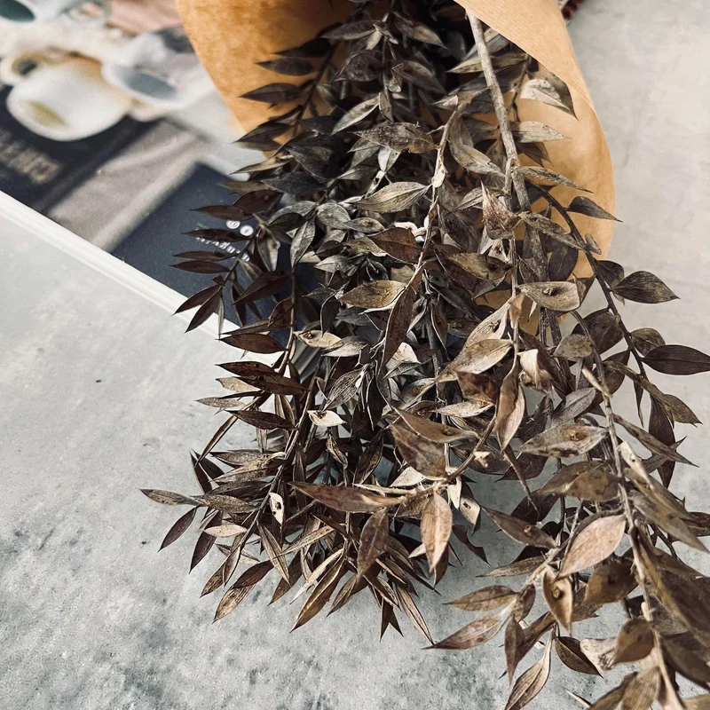 Getrocknete Blumen - Mocca ROSSA
