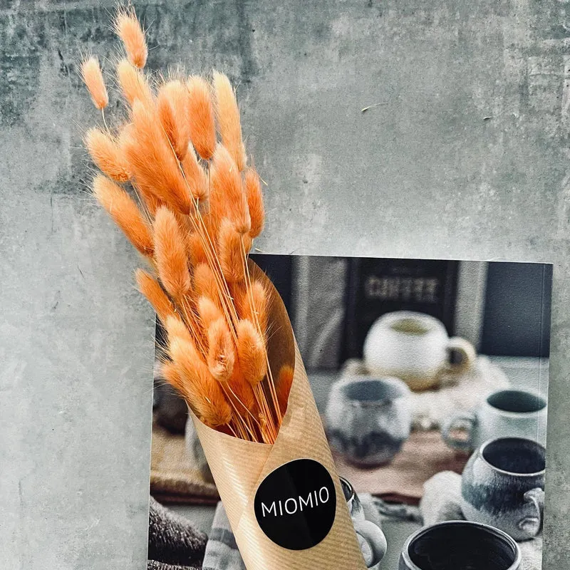 Lagurus Orange