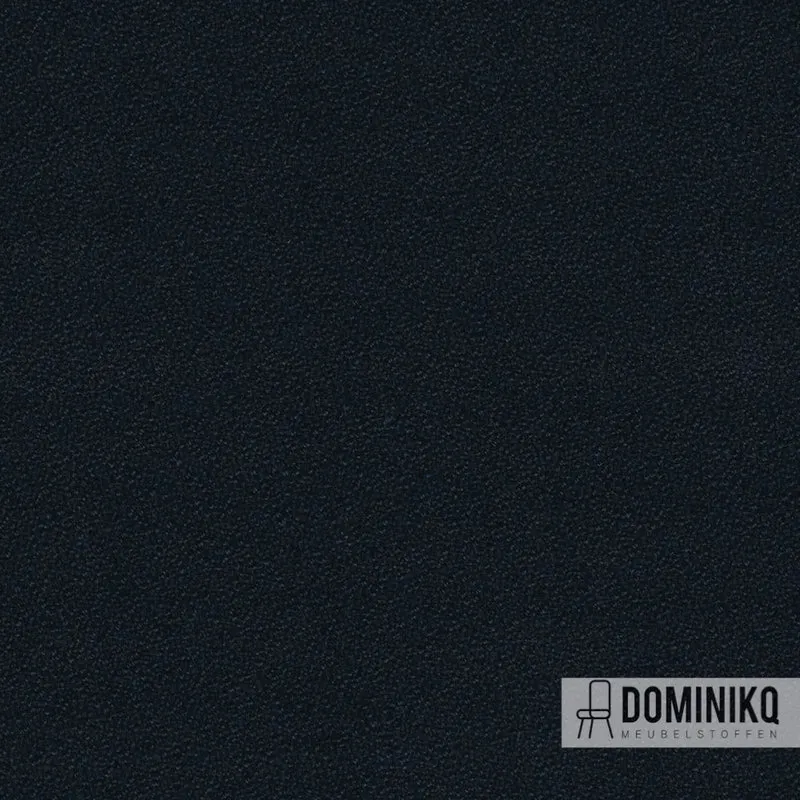 Camira - Aquarius - JA016 - Mariner