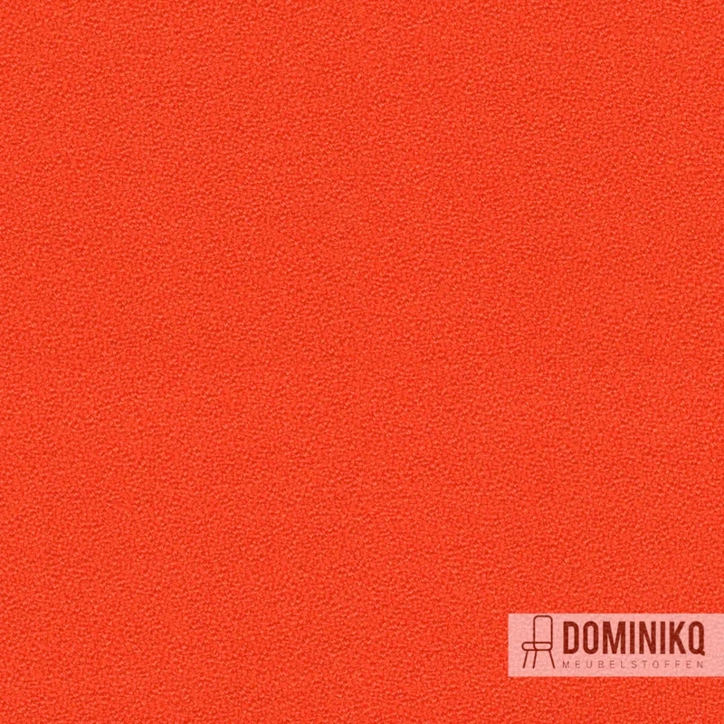 Camira - Aquarius - JA428 - Circus