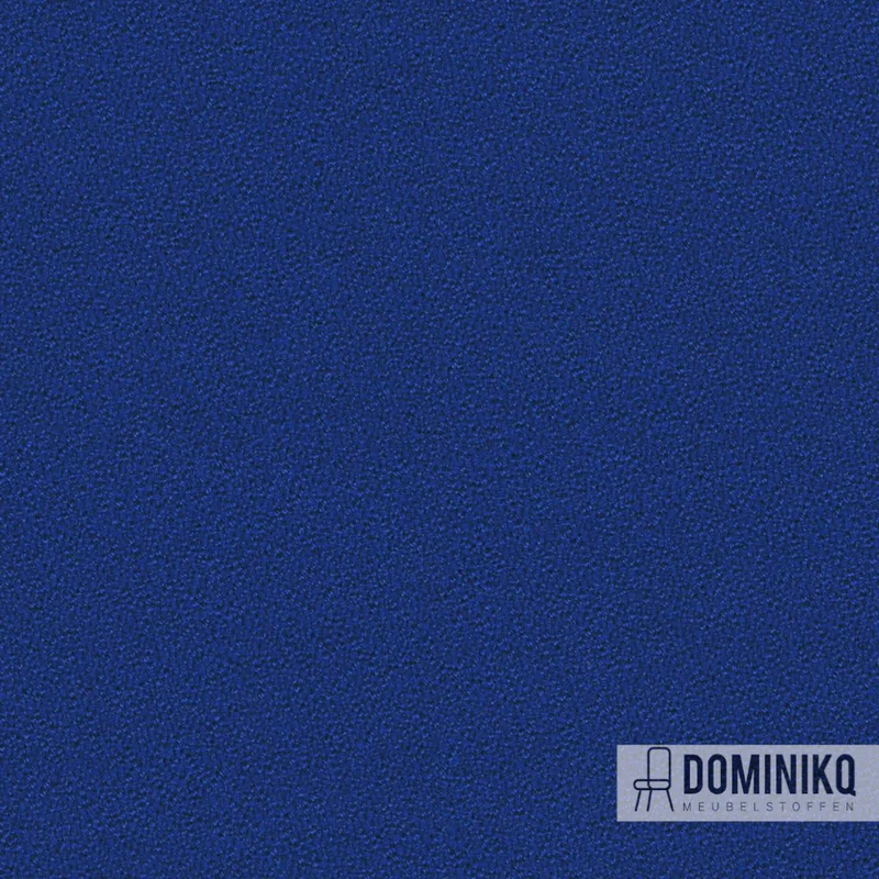 Camira - Aquarius - JA159 - Smurf