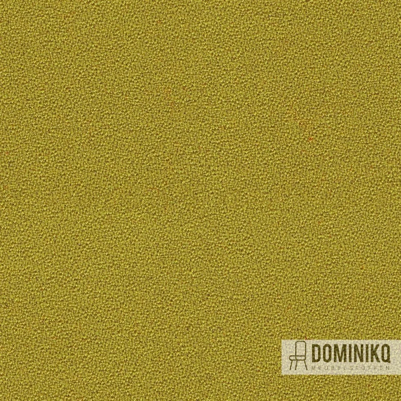 Camira - Aquarius - JA201 - Zucchini
