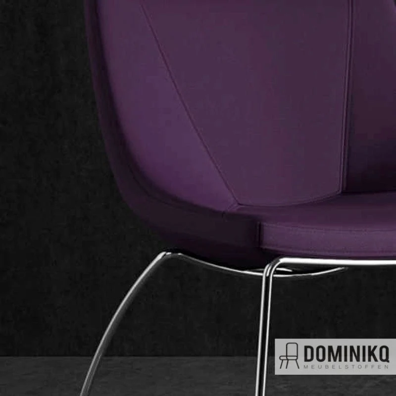 Camira - Aquarius - JA201 - Zucchini
