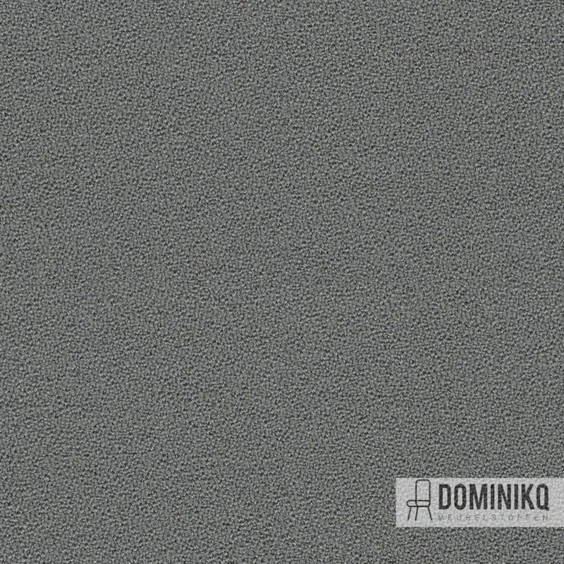 Camira - Aquarius - JA125 - Mushroom