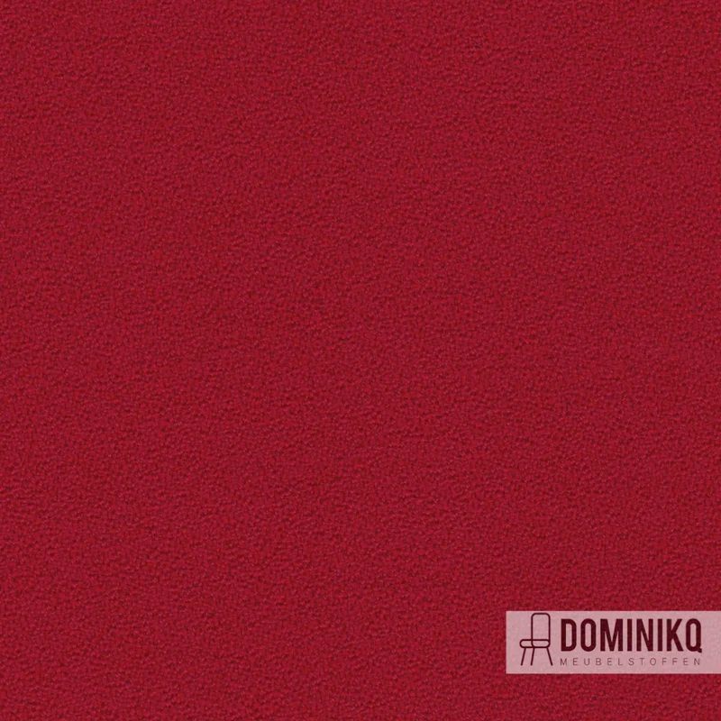 Camira - Aquarius - JA419 - Kirsche
