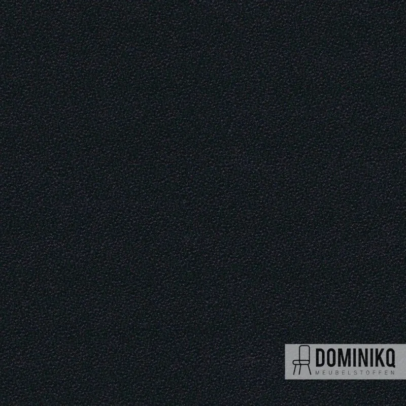 Camira - Aquarius - JA448 - SpinOza
