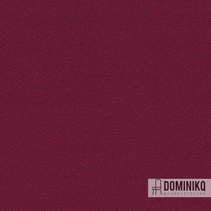 Camira - Aquarius - JA084 – Gift