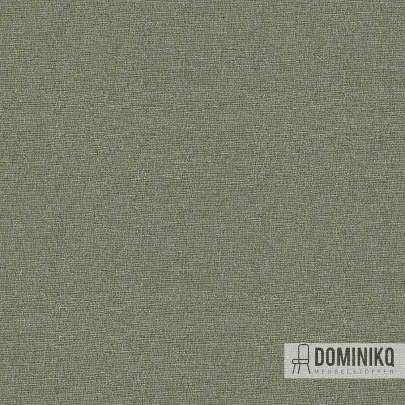 Camira - Aspect - ACT17 - Katzenglocken