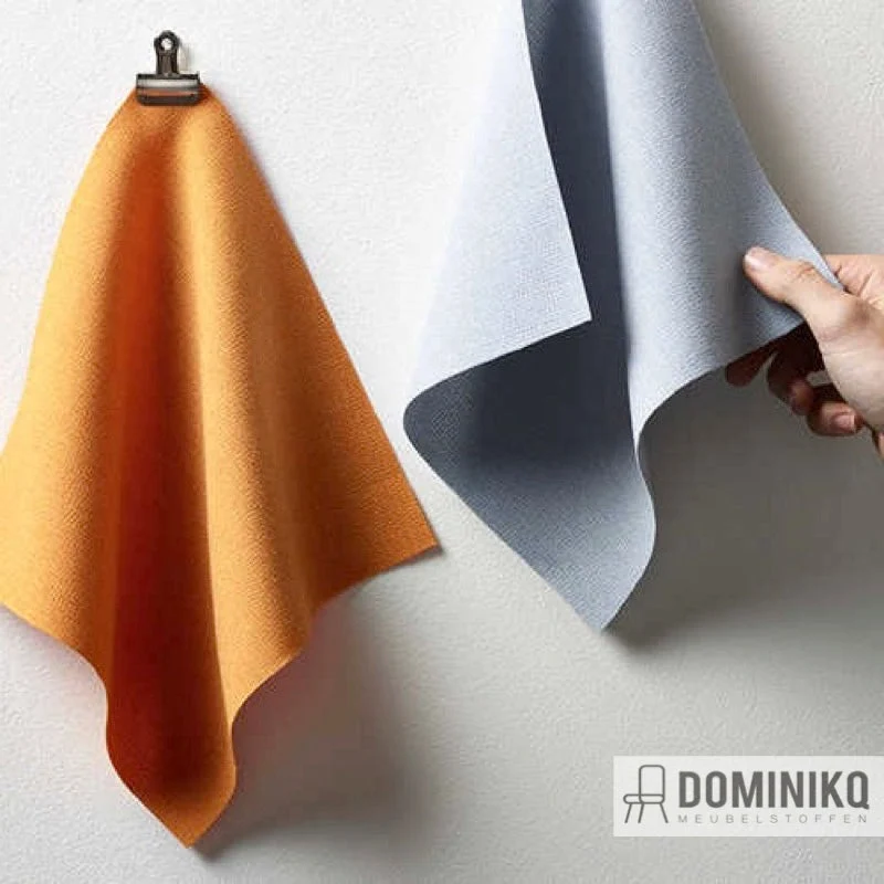 Camira - Aspect - ACT17 - Katzenglocken