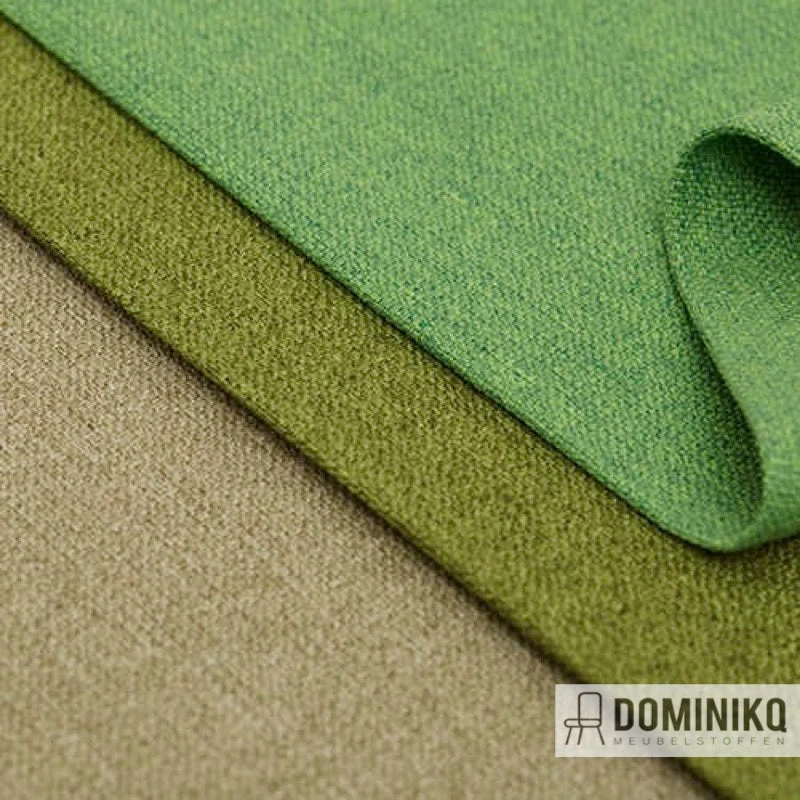 Camira - Aspect - ACT25 - Otago