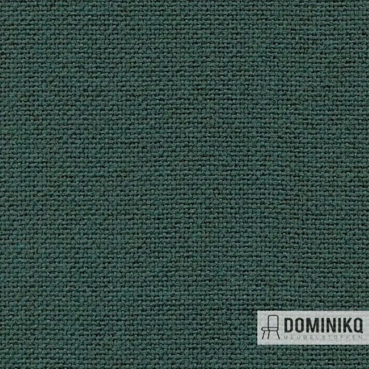 Camira - Cara - EJ187 - Lora
