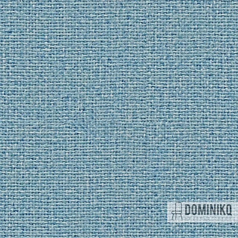 Camira - Cara - EJ105 - Delphin