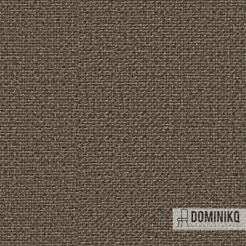 Camira - Cara - EJ194 - Lerwick