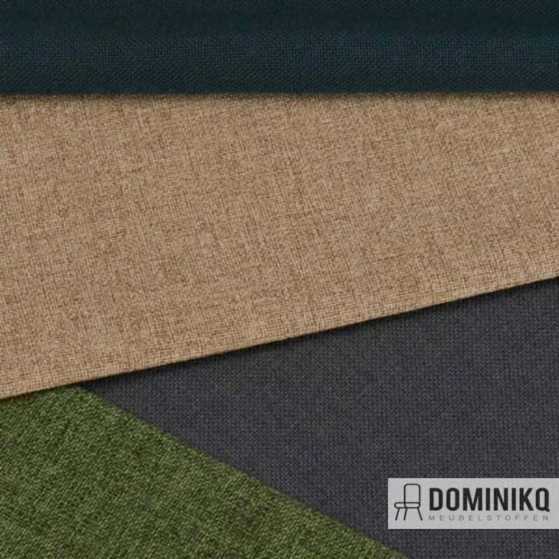 Camira - Cara - EJ196 - Denny