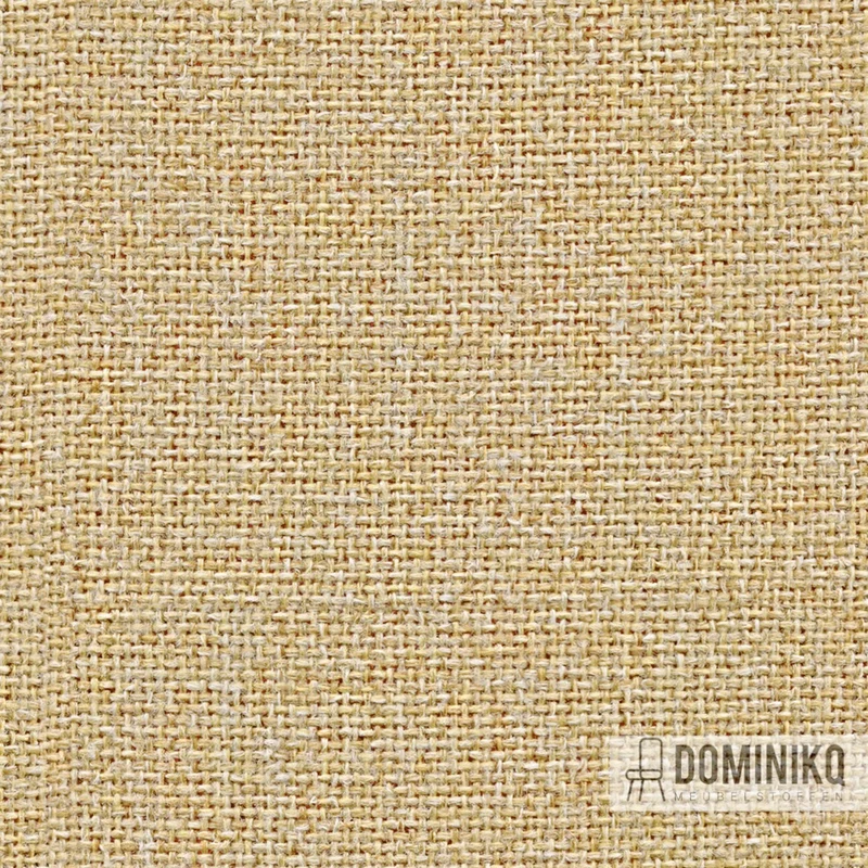 Camira - Cara - EJ173 - Austen