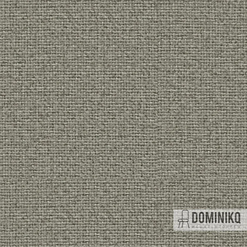 Camira - Cara - EJ190 - Hillswick
