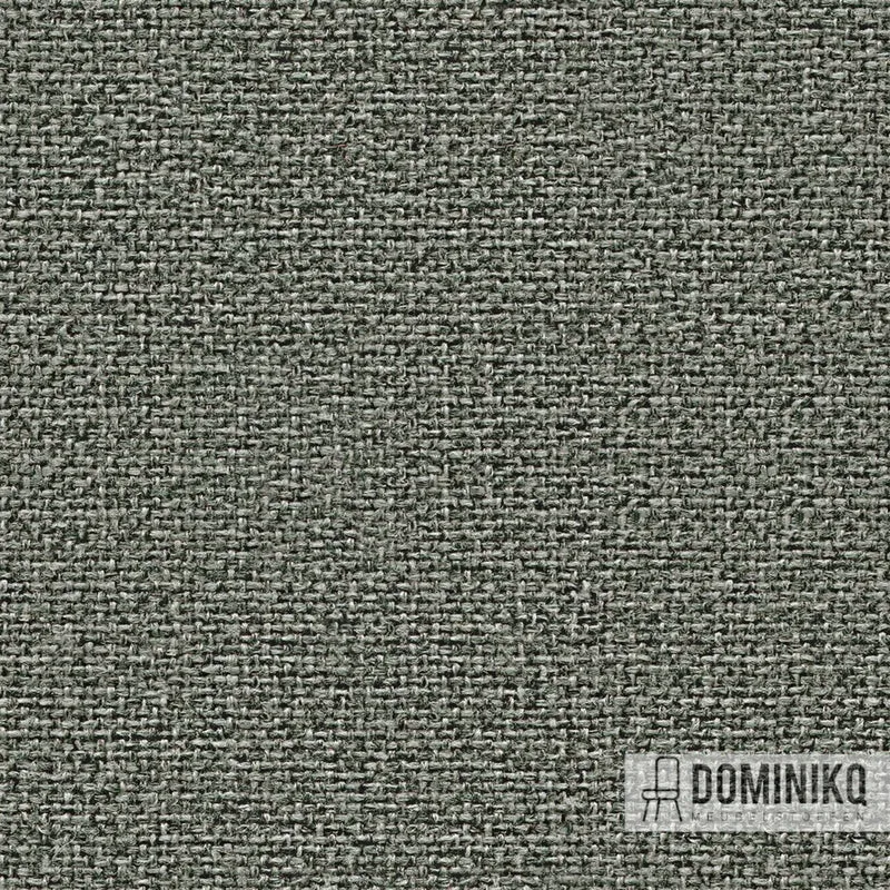 Camira - Cara - EJ016 - Portland