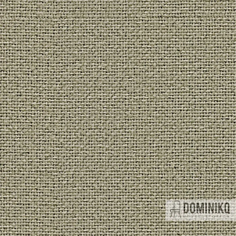 Camira - Cara - EJ033 - Spray
