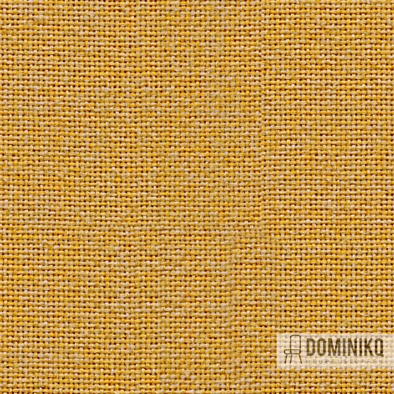 Camira - Cara - EJ195 - Maree