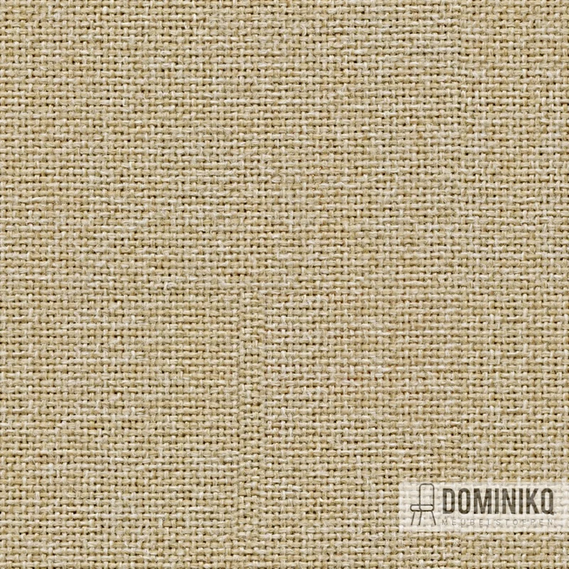 Camira - Cara - EJ192 - Lomond