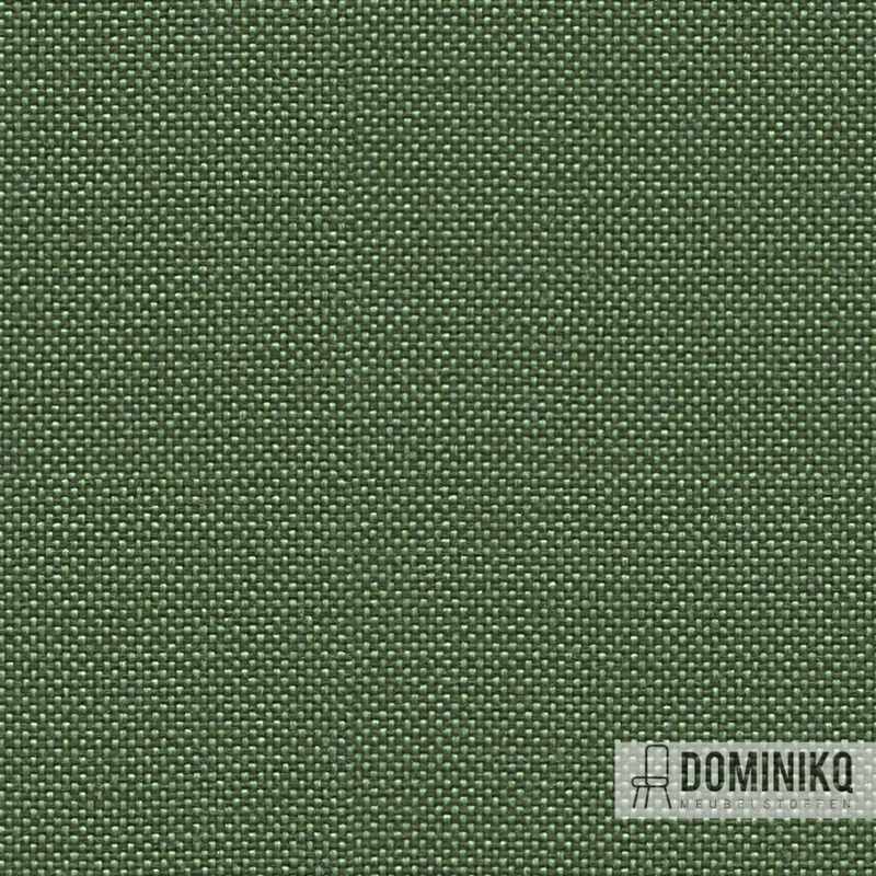 Camira - Carlow - CLW21 - Emly