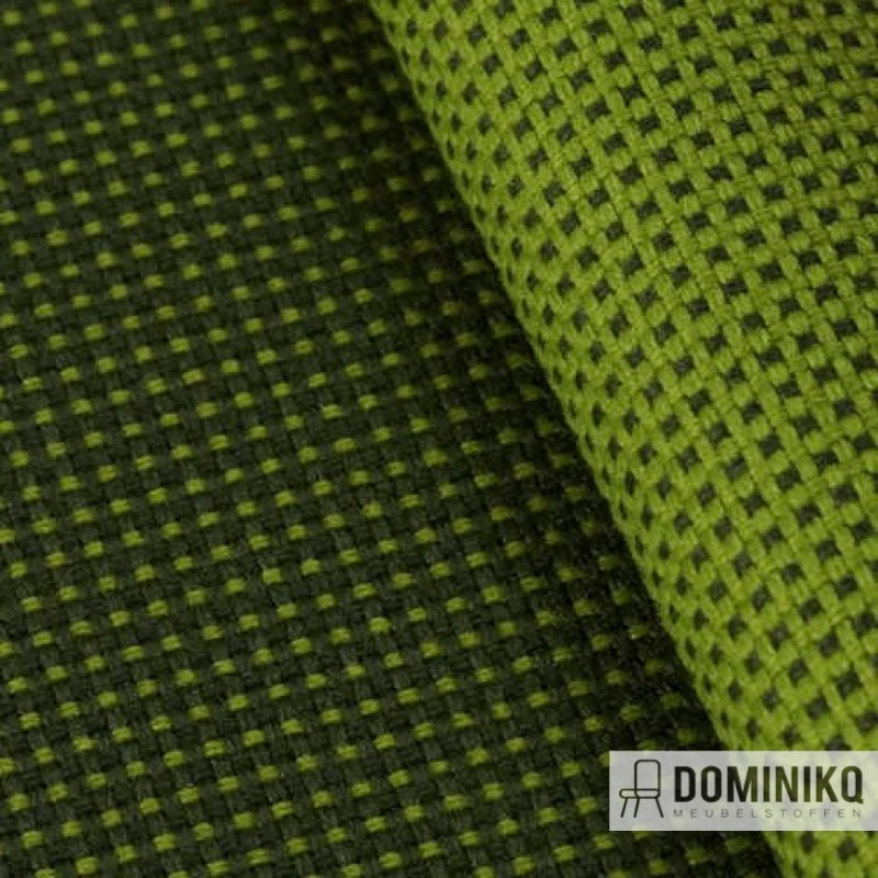 Camira - Château - CSP14 - Motte