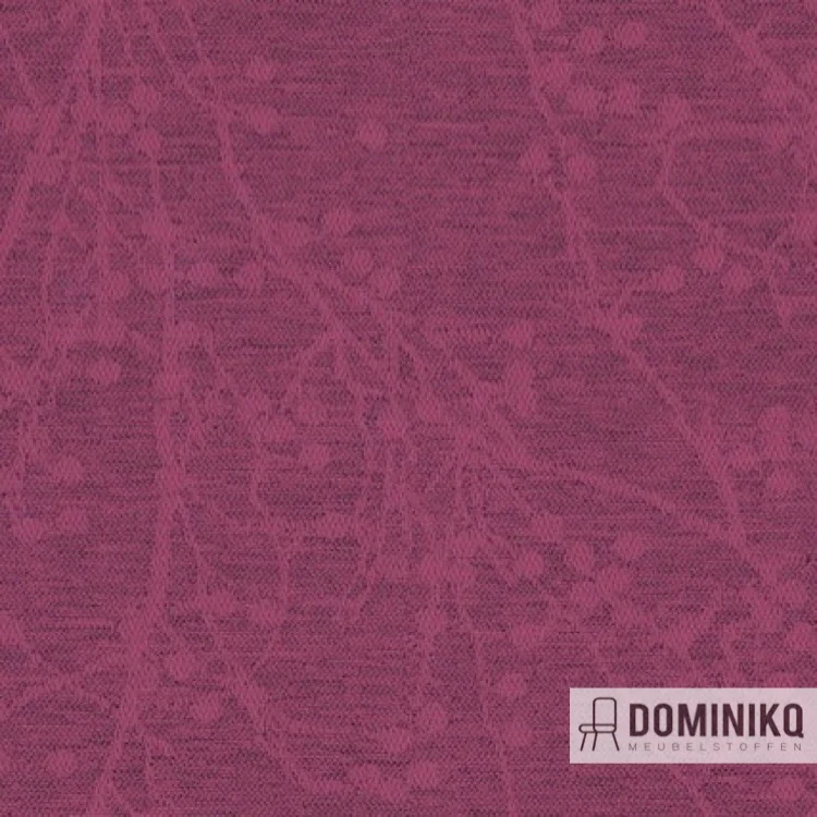 Camira - Halcyon Blossom - HPB01 - Blütenblatt