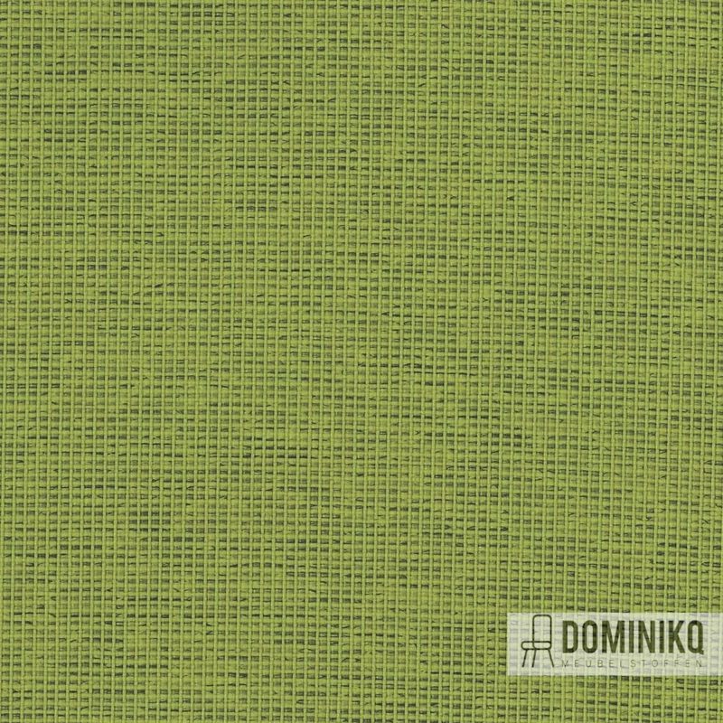 Camira - Halcyon Cedar - HPC07 – Stachelbeere