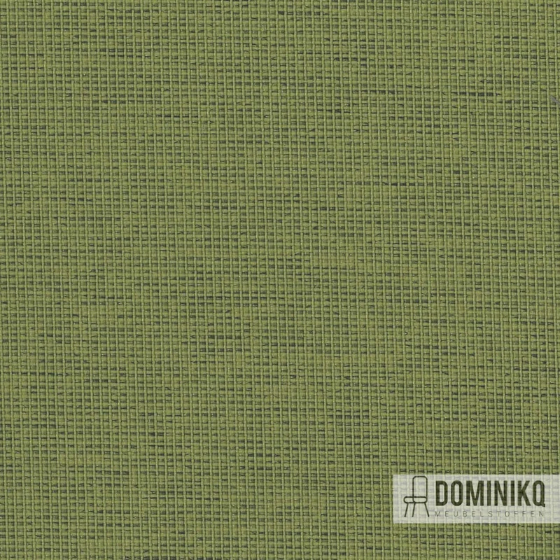 Camira - Halcyon Cedar - HPC08 - Evergreen