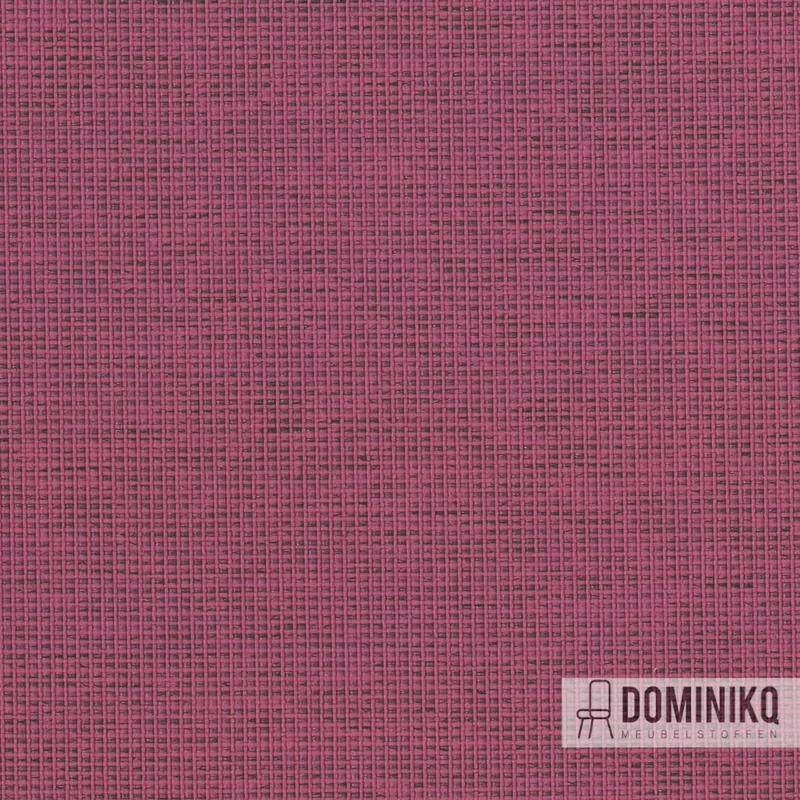 Camira - Halcyon Cedar - HPC01 - Blütenblatt