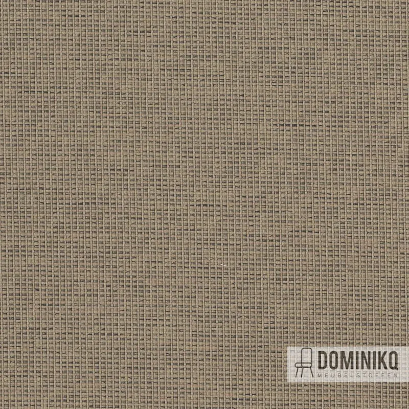 Camira - Halcyon Cedar - HPC10 - Mandel