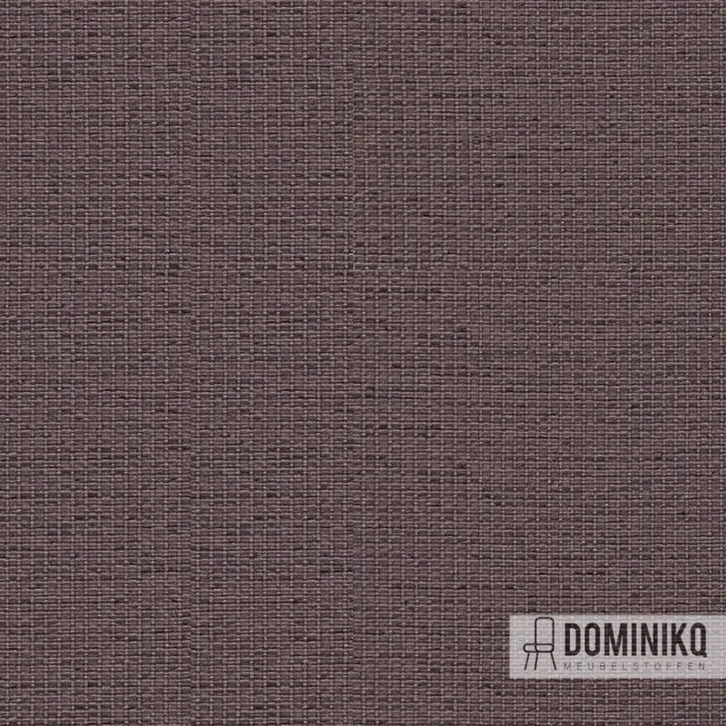Camira - Gravity - CPC12 - Muskatnuss