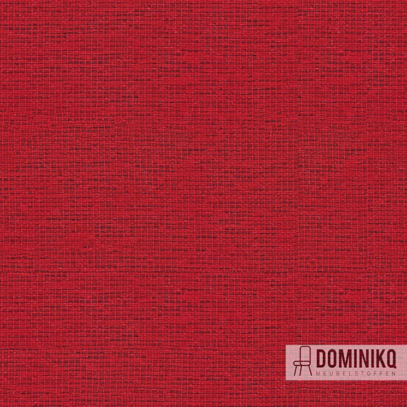 Camira - Gravity - CPC25 - Tulip