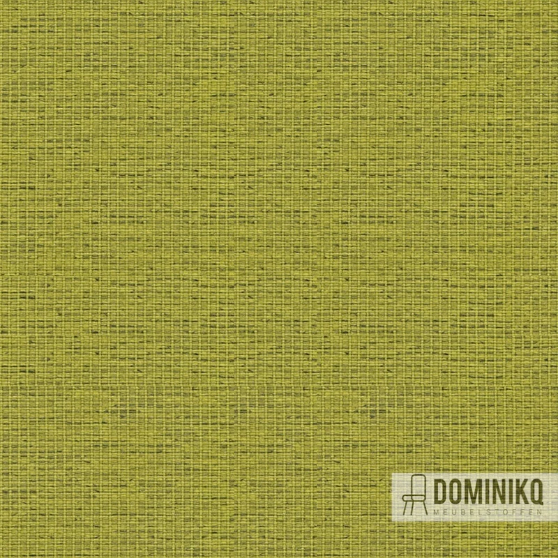 Camira - Gravity - CPC07 - Stachelbeere
