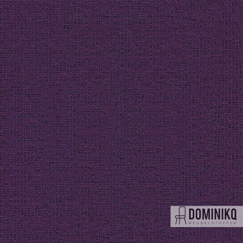 Camira - Gravity - CPC03 - Berry