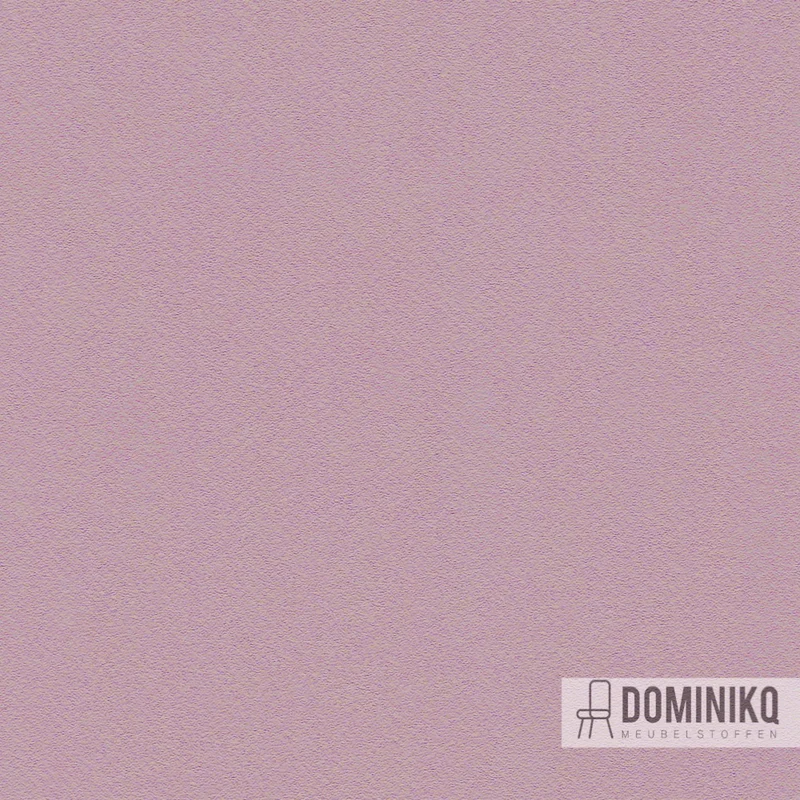 Camira - Deca - DEC12 - Tenaca