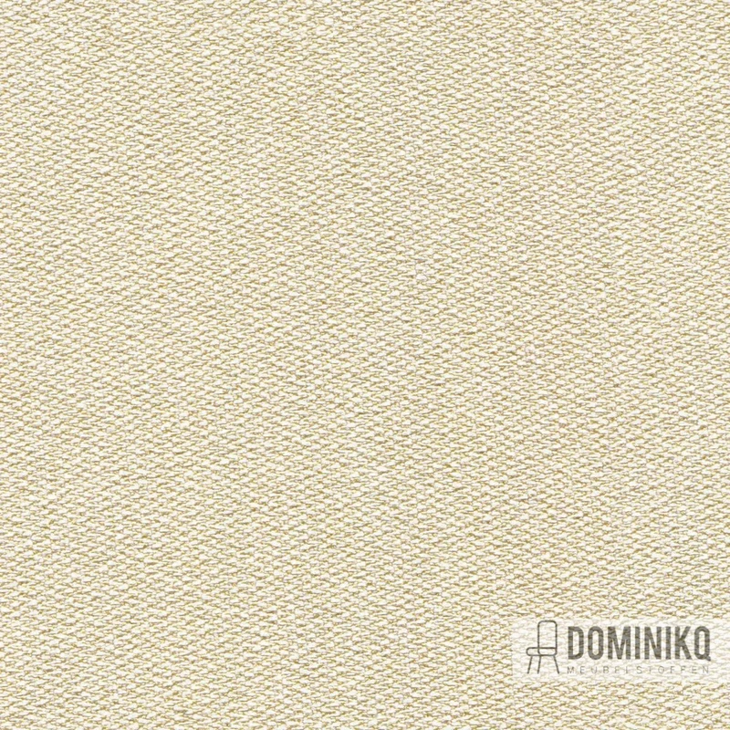 Camira - Era 170 - CSX30 - Transition