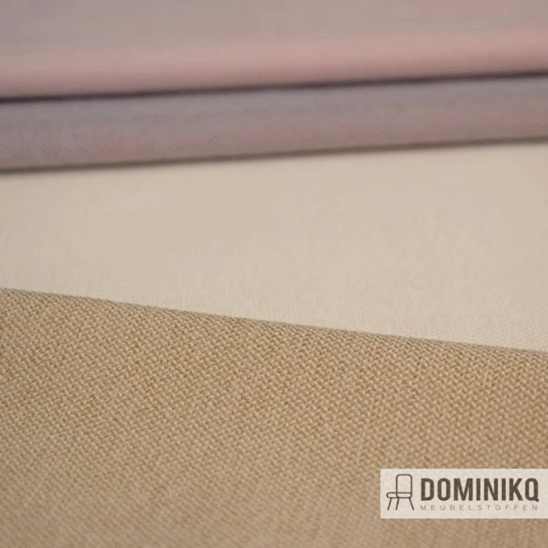 Camira - Era 170 - CSX33 - Analogue