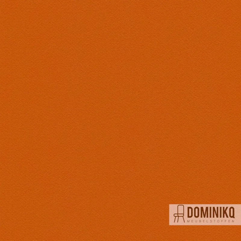 Camira - Deca - DEC13 - Decathlon