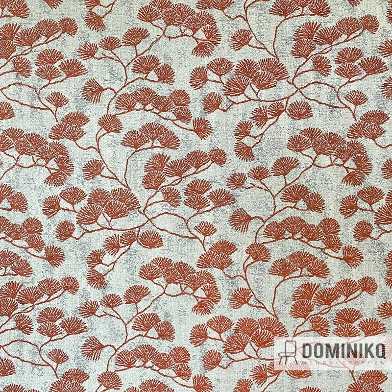 Casal - Canoas - 47 Corail