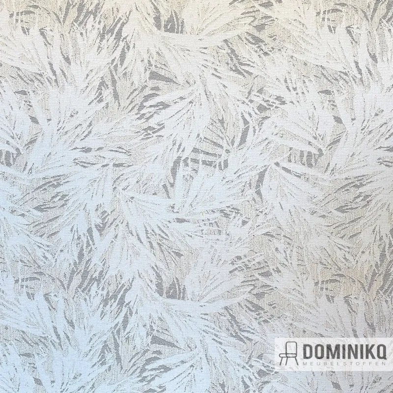 Casal - Montero - 13 Cotton