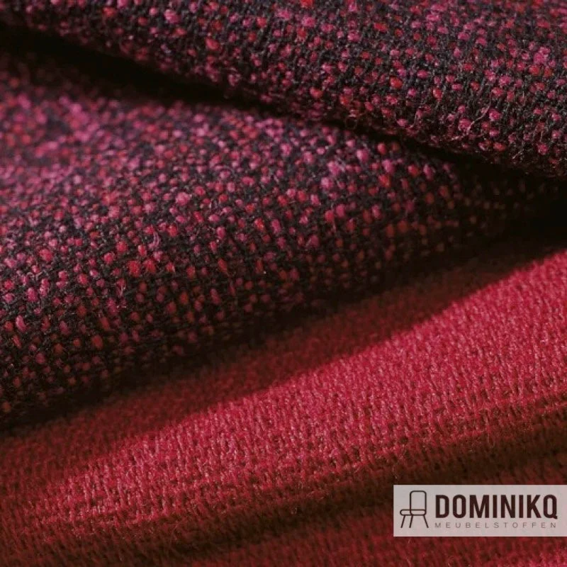 Camira Fabrics - 24/7 Flax - FYR10 Future
