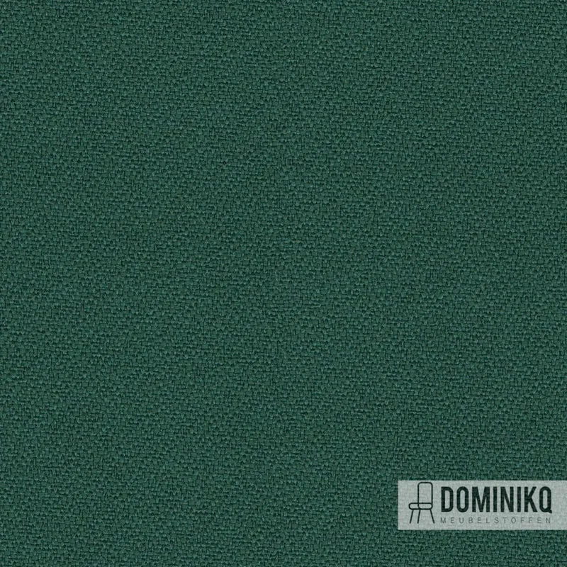 Camira - Intervene Plain - YH047