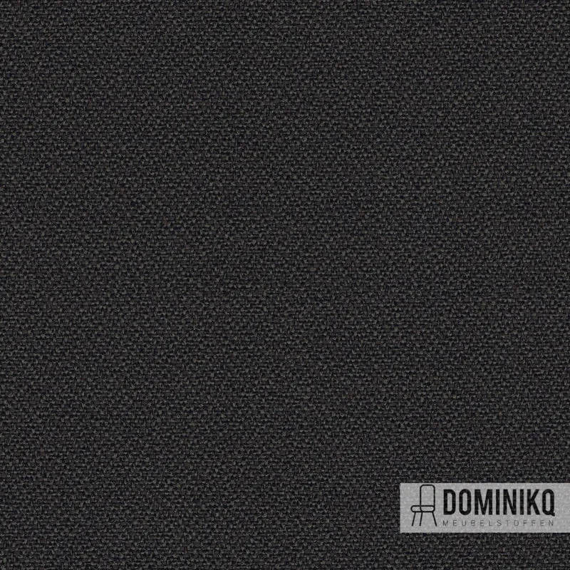 Camira - Intervene Plain - YH046