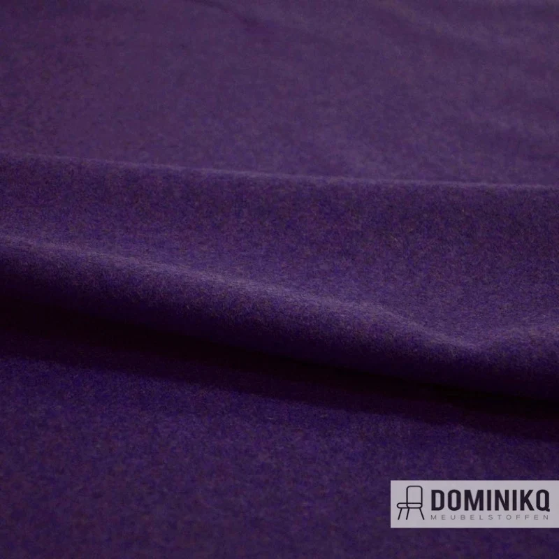 Casal - Dolly - 96 Eggplant