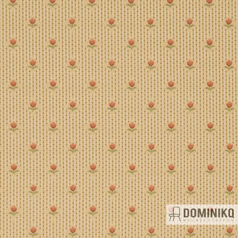 Casal - Les Classiques 322 - 13432 Carantec - 4375 Safran Allspice