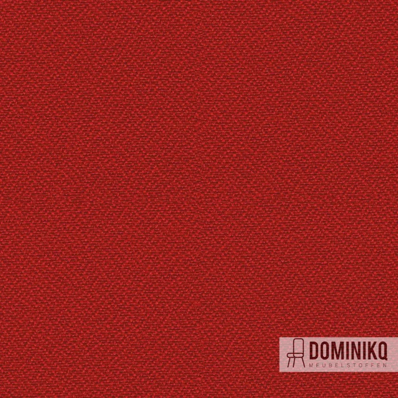 Camira - Lucia - YB106 - Calypso