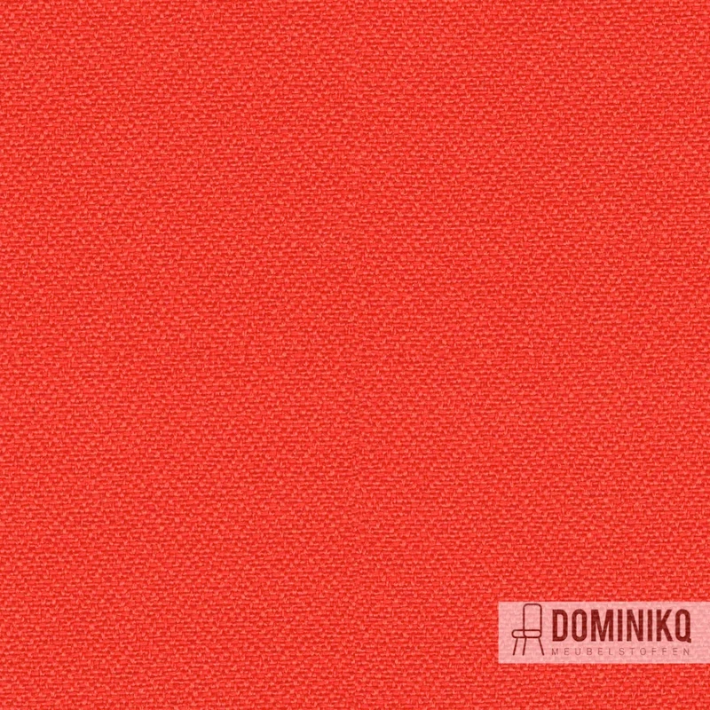 Camira - Lucia - YB168 - Tortuga